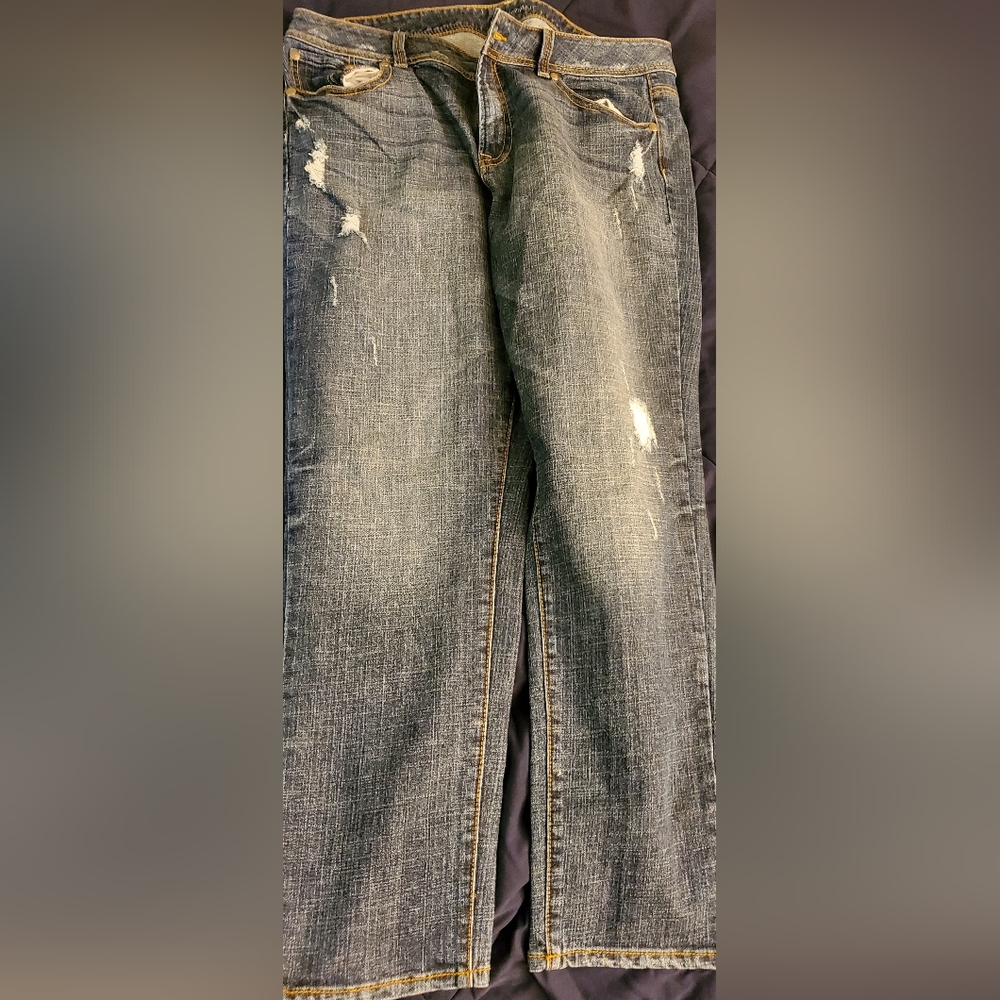 Lane Bryant Pants